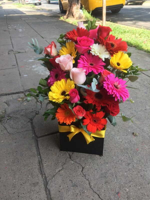 Arreglos_de_gerberas_rosas_Floristeria_Soyapango